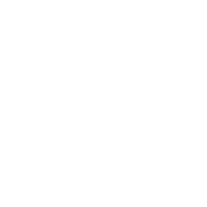 white ornament 13.webp